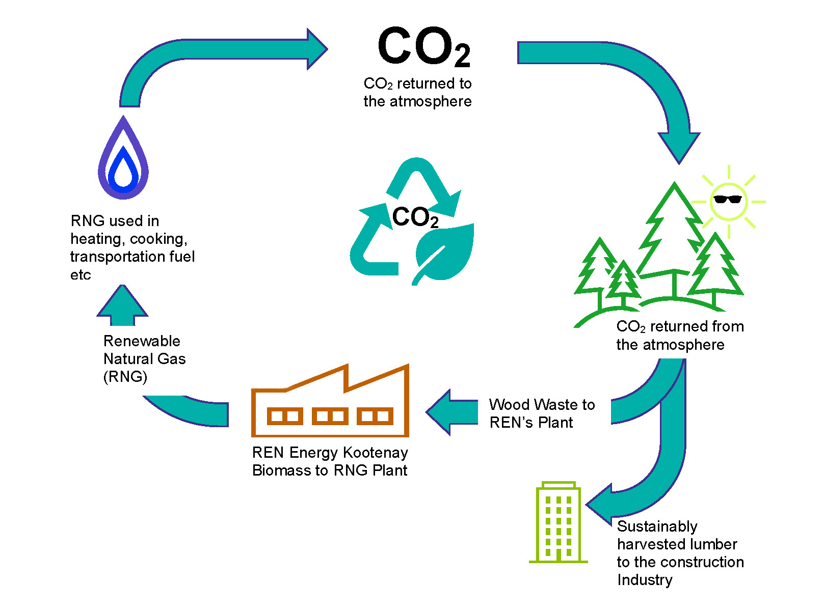 diagram of closed carbon cycle of rng plant from biomass